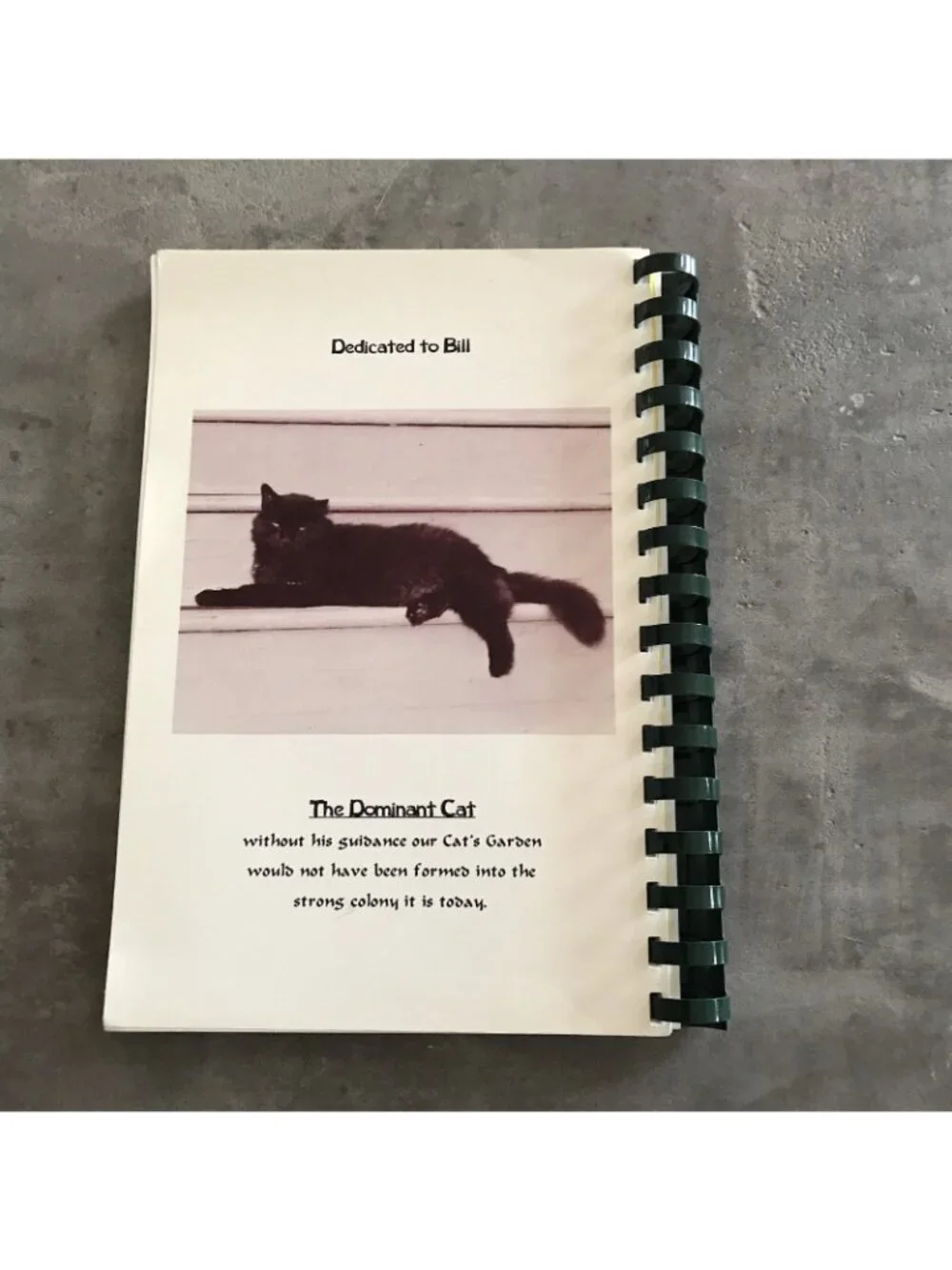 The Albert Stevens Inn The Cats Meow Cookbook Recipes Spiral Bound Cape May NJ